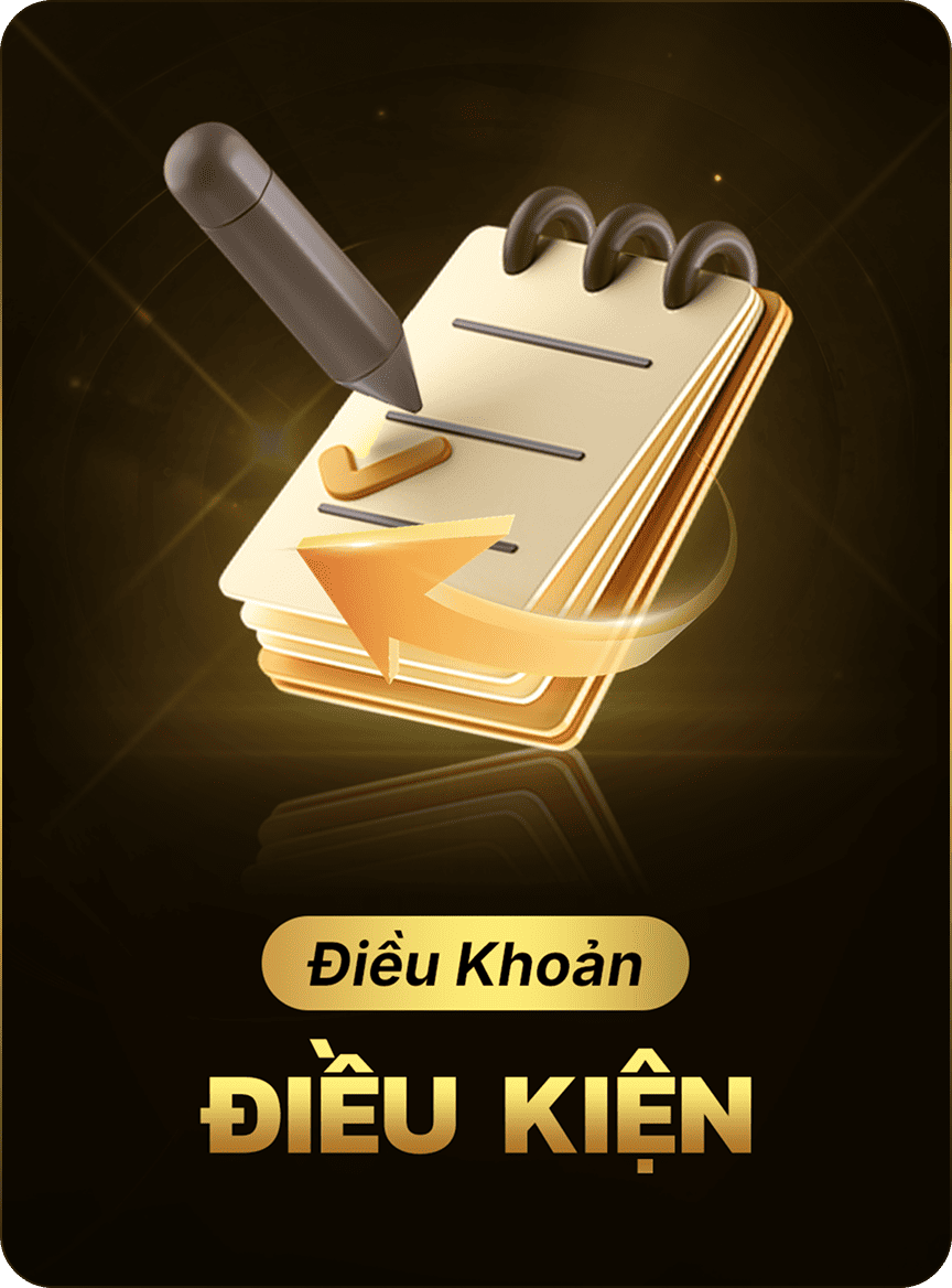 Terms and Conditions